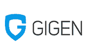 GigeNet Logo