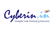Cyberin Logo