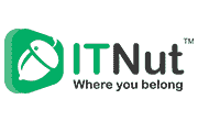 ITNutHosting Logo