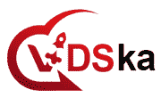 VDSka.ru Logo