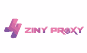 Ziny Logo