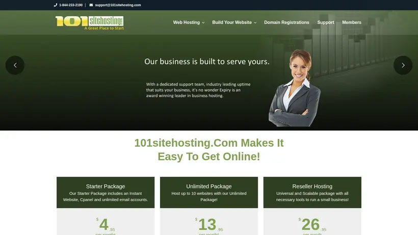 101 Site Hosting homepage screenshot
