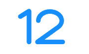 12VPN Logo