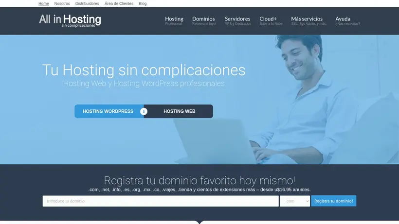 All in Hosting homepage screenshot