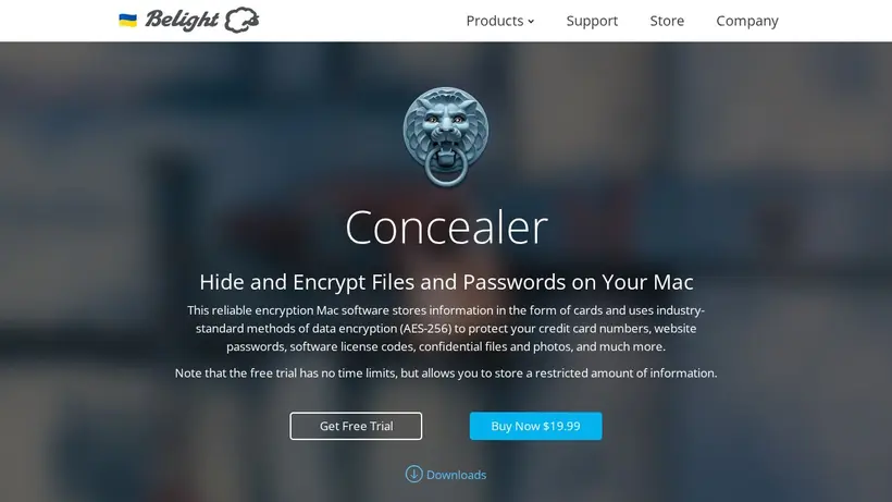 Belight Soft homepage screenshot