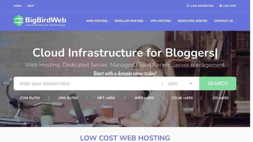 Big Bird Web homepage screenshot
