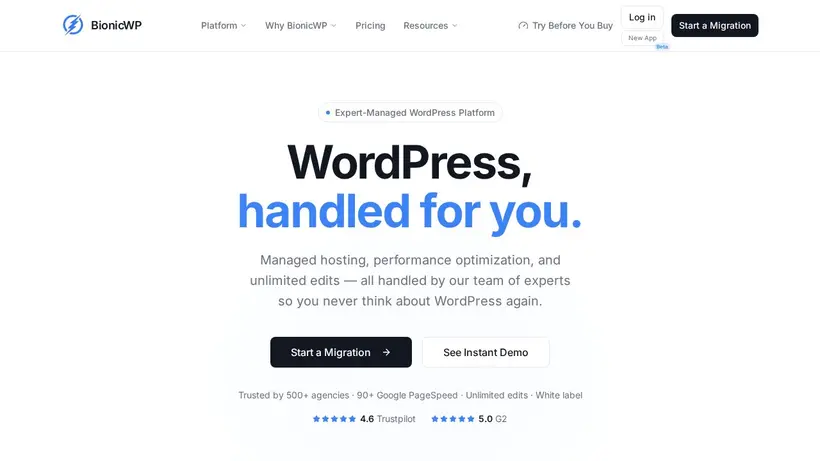 Bionic WP homepage screenshot