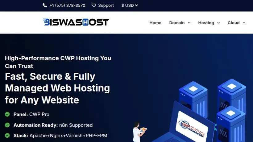 BiswasHost homepage screenshot
