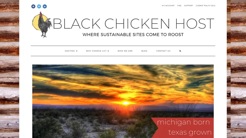 Black Chicken Host homepage screenshot