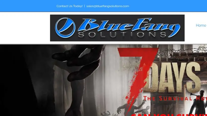 Blue Fang Solutions homepage screenshot