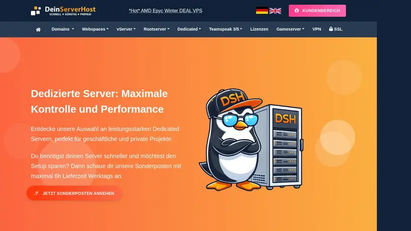 Dein Server Host homepage screenshot