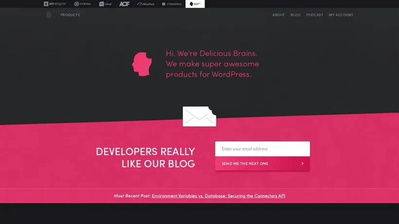 Delicious Brains homepage screenshot