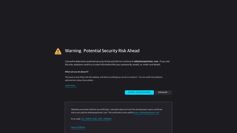 Elite Site Optimizer homepage screenshot