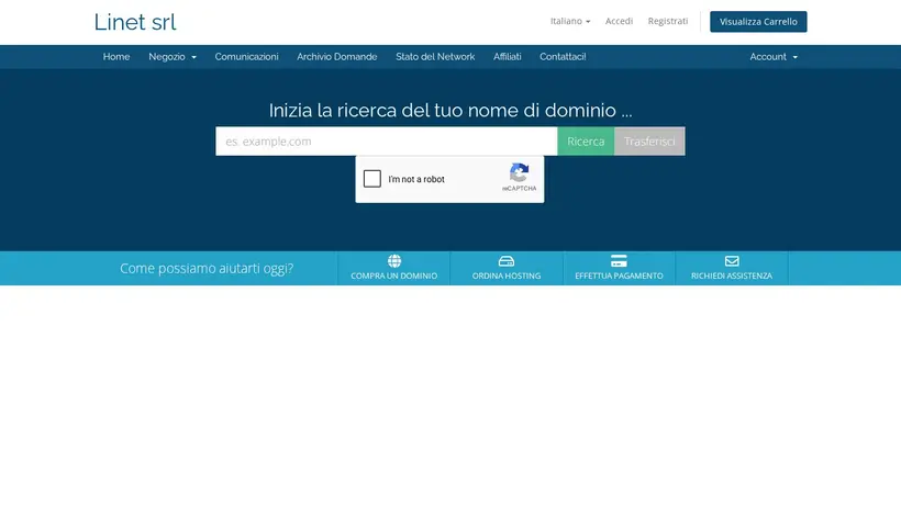 Hostinet IT homepage screenshot