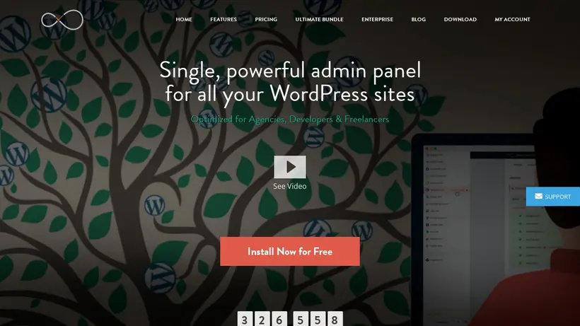 Infinite WP homepage screenshot