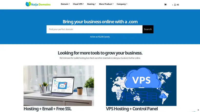 Naija Domains homepage screenshot