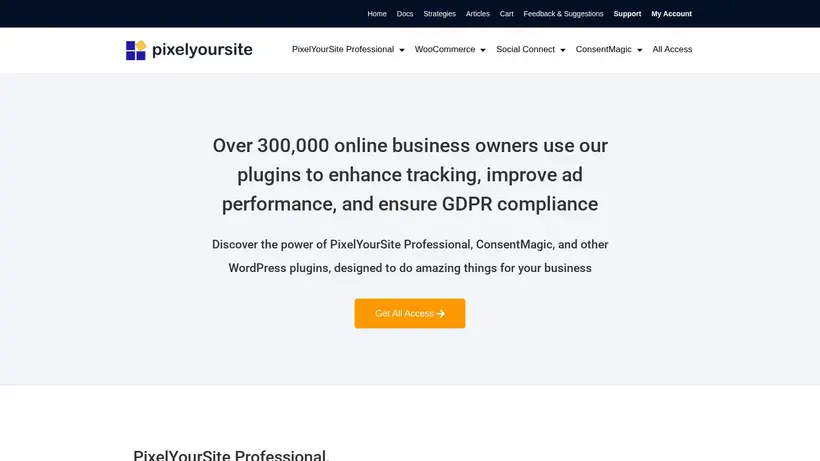 Pixel Your Site homepage screenshot