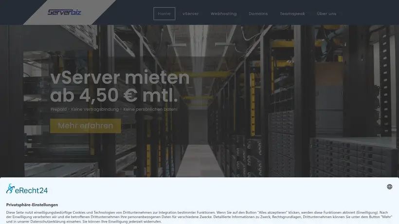 ServerBiz homepage screenshot