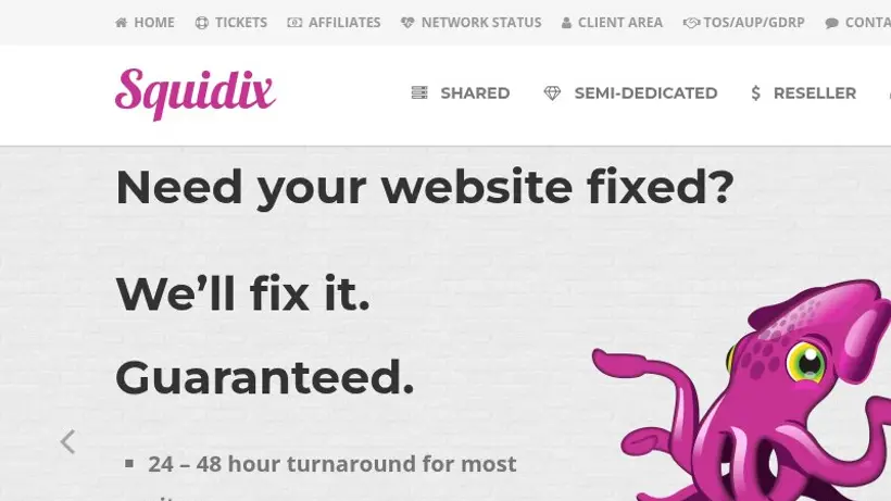 Squidix homepage screenshot