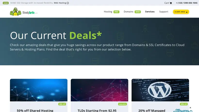 Steady Turtle homepage screenshot