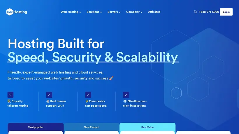 TM DHosting homepage screenshot