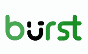 Burst-Statistics Coupons & Promotions