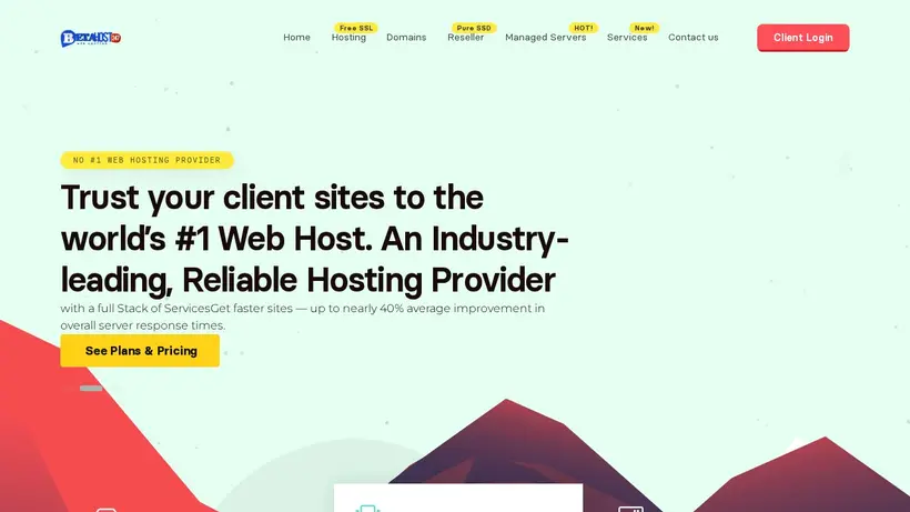 BetaHost 247 homepage screenshot