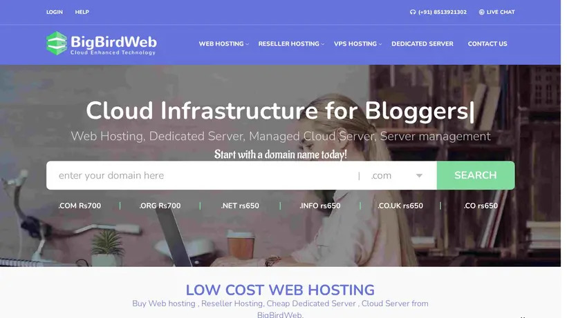 Big Bird Web homepage screenshot