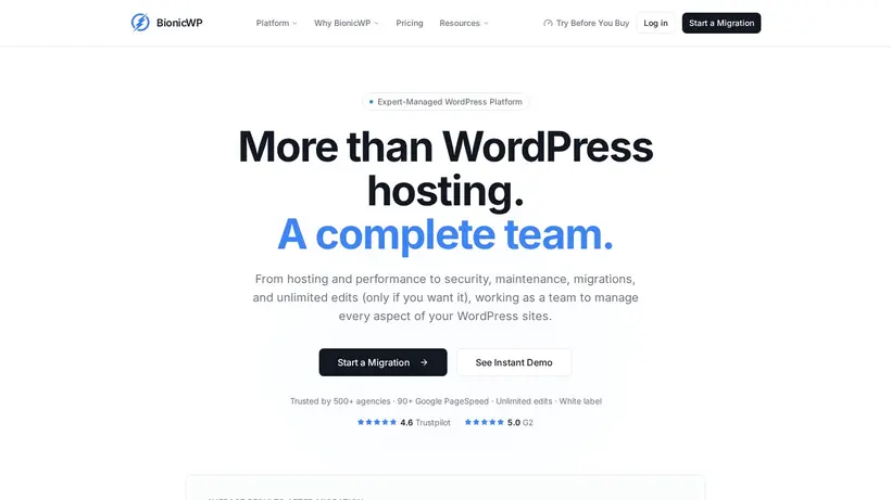 Bionic WP homepage screenshot