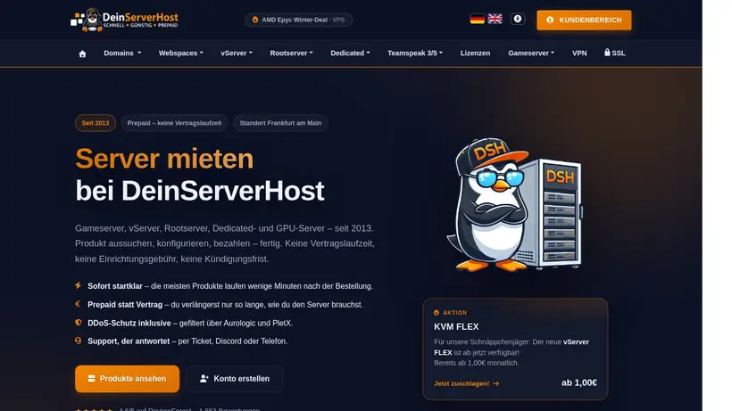 Dein Server Host homepage screenshot