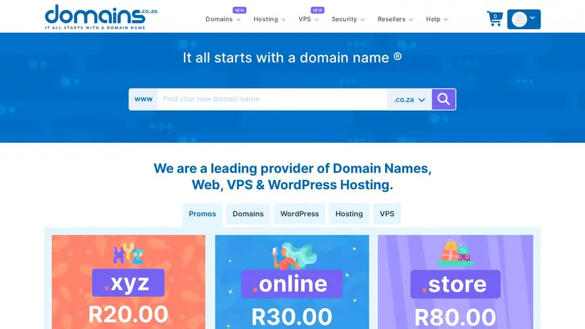 Domains.co.za homepage screenshot