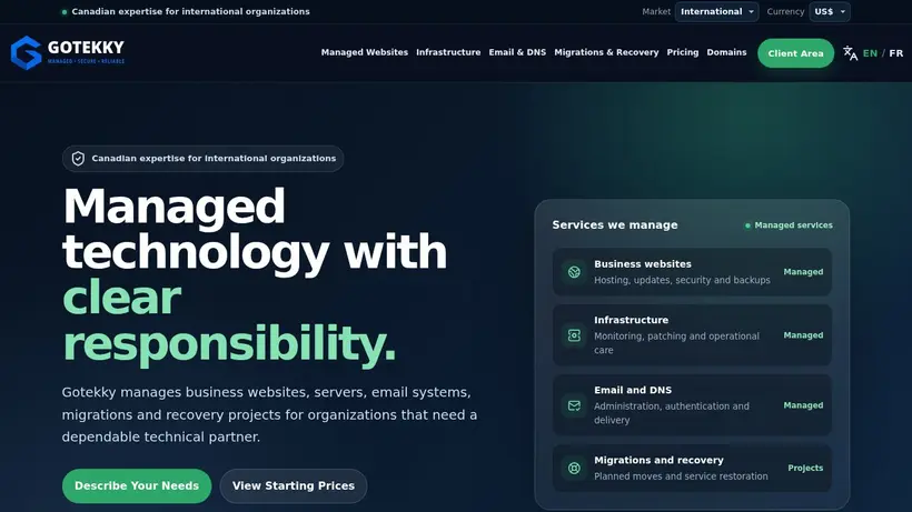 Gotekky homepage screenshot
