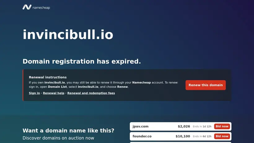 InvinciBull VPN homepage screenshot