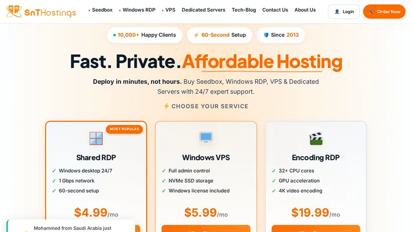 SNT Hostings homepage screenshot