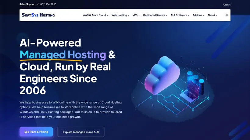 SoftSys Hosting homepage screenshot