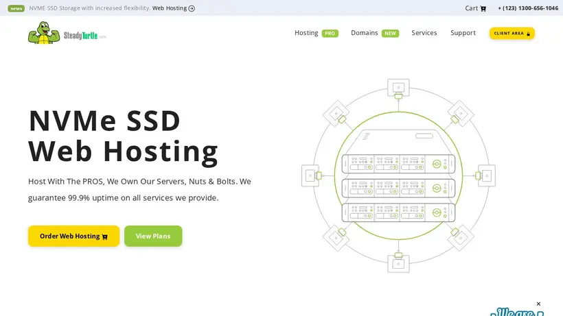 Steady Turtle homepage screenshot